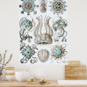 Ernst Haeckelポスター～ナルコメドゥサイ ポスター (キッチン)