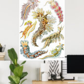 Ernst Haeckelポスター~Nudibranchia ポスター (ホームオフィス)