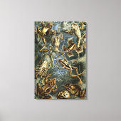 Ernst Haeckel様々なエキゾチックなカエル：Batracia キャンバスプリント (正面)