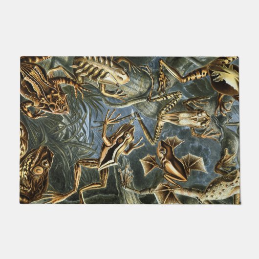 Ernst Haeckel様々なエキゾチックなカエル：Batracia ドアマット (正面)