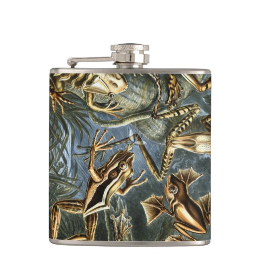 Ernst Haeckel様々なエキゾチックなカエル:Batracia フラスク (正面)