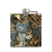 Ernst Haeckel様々なエキゾチックなカエル：Batracia フラスク (裏面)