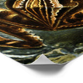 Ernst Haeckel様々なエキゾチックなカエル：Batracia ポスター (角)