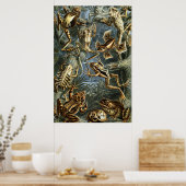 Ernst Haeckel様々なエキゾチックなカエル：Batracia ポスター (キッチン)