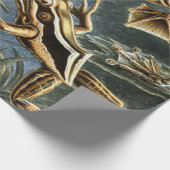 Ernst Haeckel様々なエキゾチックなカエル：Batracia ラッピングペーパー (角)