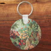 Ernst Haeckel著、Muscinae Laubmooseのコケ キーホルダー (正面)