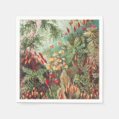 Ernst Haeckel著、Muscinae Laubmooseのコケ スタンダードカクテルナプキン (正面)