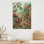 Ernst Haeckel著、Muscinae Laubmooseのコケ ポスター (キッチン)