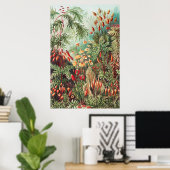 Ernst Haeckel著、Muscinae Laubmooseのコケ ポスター (ホームオフィス)