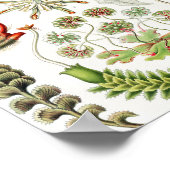 Ernst Haeckel著Hepaticae Lebermoose ポスター (角)