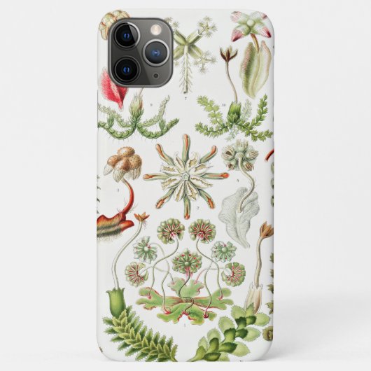 Ernst Haeckel著Hepaticae Lebermoose Case-Mate iPhoneケース (裏面)