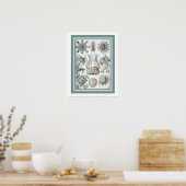 Ernst Haeckel "神聖なジオメトリ" 16 x 20プリント ポスター (キッチン)