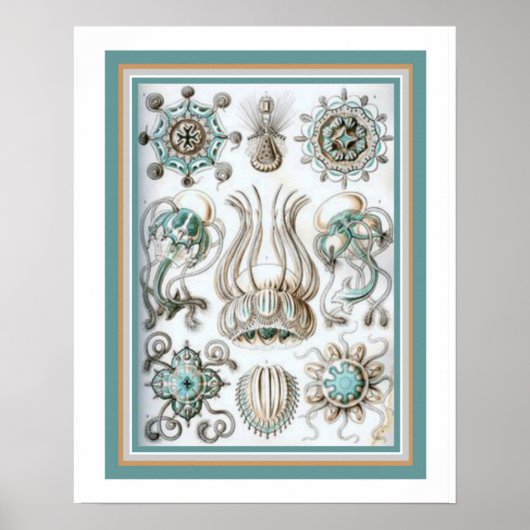 Ernst Haeckel "神聖なジオメトリ" 16 x 20プリント ポスター (正面)