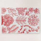 Ernst Haeckel『紅藻海、フロリデア·ロタルゲン』 ジグソーパズル (横)