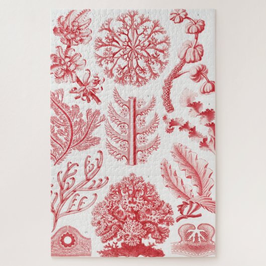 Ernst Haeckel『紅藻海、フロリデア·ロタルゲン』 ジグソーパズル (縦)