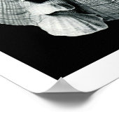 ERNST HAECKEL: Acephala,品質ファインアートポスター ポスター (角)