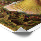 Ernst Haeckel Art Print: Actiniae ポスター (角)