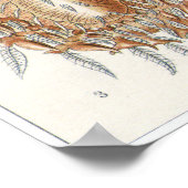 Ernst Haeckel Art Print: Arachnida ポスター (角)