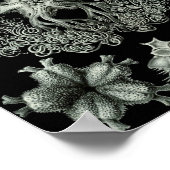 Ernst Haeckel Art Sea Life 11インチx 8.5 ポスター (角)