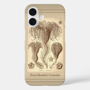 Ernst Haeckel Crinoids – ページ全体 iPhone 16ケース