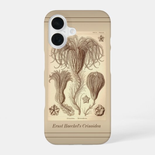 Ernst Haeckel Crinoids – ページ全体 iPhone 16ケース (裏面)