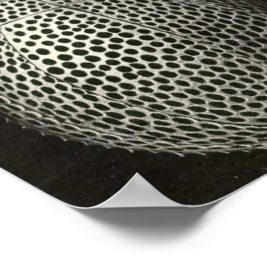 Ernst Haeckel - Cyrtoidea Poster ポスター (角)