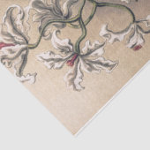 Ernst Haeckel Decompageによる蘭 薄葉紙 (詳細)