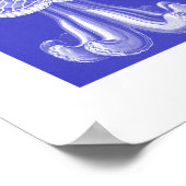 Ernst Haeckel Discomedusae III ポスター (角)