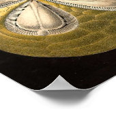 Ernst Haeckel - Echinideaポスター ポスター (角)