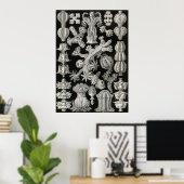 Ernst Haeckel - Gorgonida Poster ポスター (ホームオフィス)