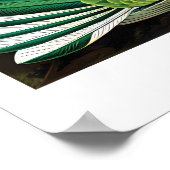 Ernst Haeckel Hummingbird (Trochilida) Print ポスター (角)