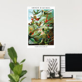 Ernst Haeckel Hummingbird (Trochilida) Print ポスター (ホームオフィス)