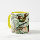 Ernst Haeckel Hummingbirds -自然のアート型枠 マグカップ (正面左)