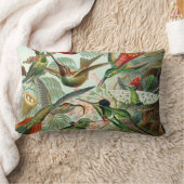 Ernst Haeckel Hummingbirds -自然のアート型枠 ランバークッション (ブランケット)