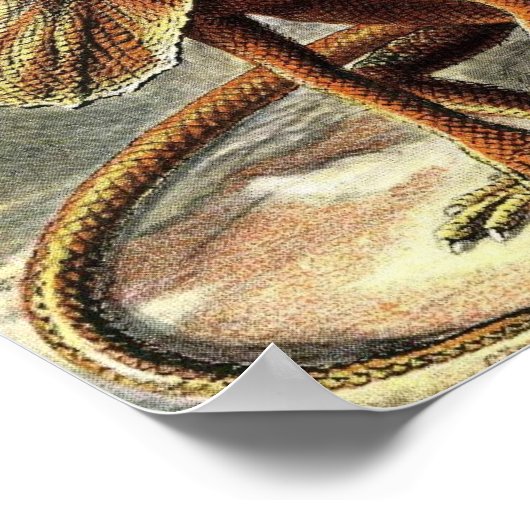 Ernst Haeckel - Lacertilia Lizards ポスター (角)