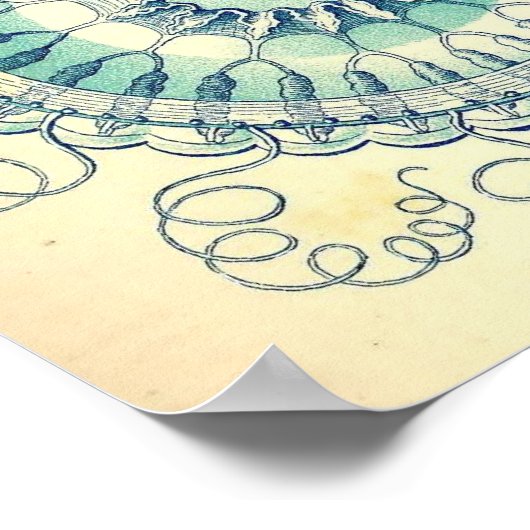 Ernst Haeckel - Leptomedusae Poster ポスター (角)