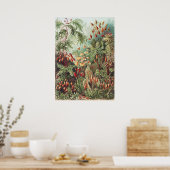 Ernst Haeckel Moss Nature Print Dark Academia ポスター (キッチン)