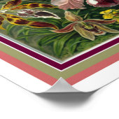 Ernst Haeckel "Orchida"植物学プリント12 x 16 ポスター (角)