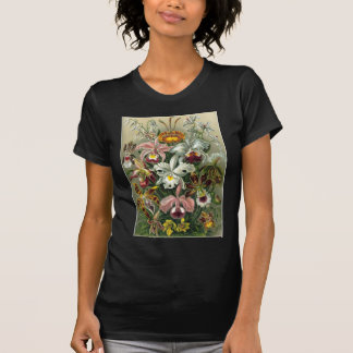 Ernst Haeckel - Orchidae Tシャツ