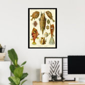 Ernst Haeckel Posterによる「Ostraciontes」 ポスター (ホームオフィス)