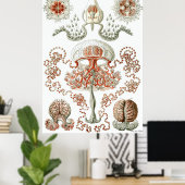 Ernst Haeckel Poster to Anthomedusae ポスター (ホームオフィス)