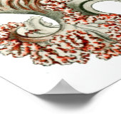 Ernst Haeckel Poster to Anthomedusae ポスター (角)