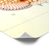 Ernst Haeckel - Siphonophorae2ポスター ポスター (角)