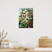 Ernst Haeckel - Trochilidae ポスター (キッチン)