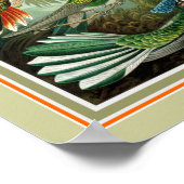 Ernst Haeckel "Trochilidae" 12 x 16プリント ポスター (角)