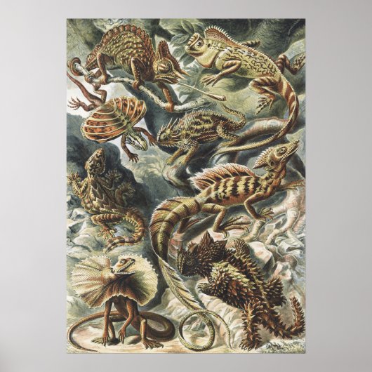 Ernst Haeckel Vintage Reptile Lizard Nature Art ポスター (正面)