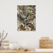 Ernst Haeckel Vintage Reptile Lizard Nature Art ポスター (キッチン)