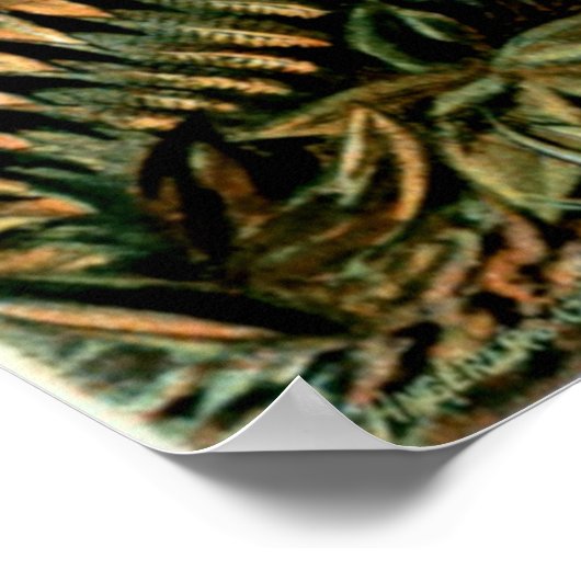 Ernst Haeckel's Filicinae (Tree Ferns) Poster ポスター (角)