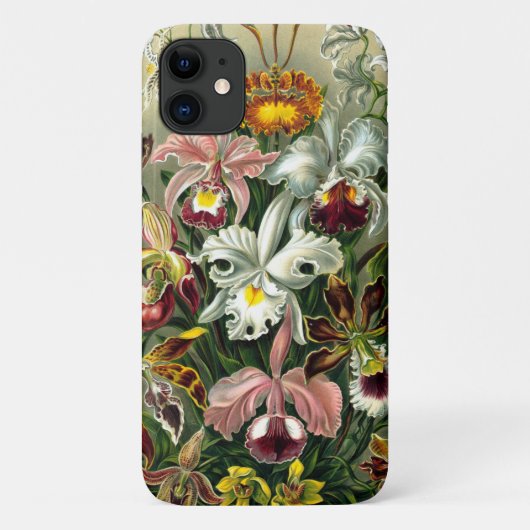 Ernst Haeckel's Orchidaceae Case-Mate iPhoneケース iPhone 11 ケース (裏面)