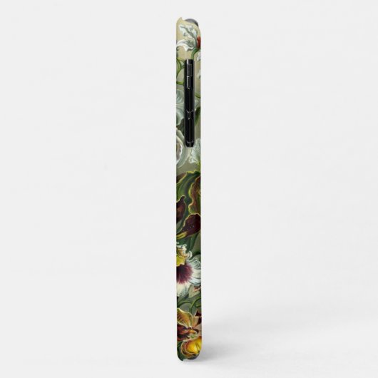Ernst Haeckel's Orchidaceae Case-Mate iPhoneケース iPhone 11 ケース (裏面/左)